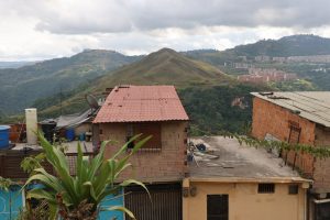 Montañas de Petare se convertirán en zona cafetalera como parte del Plan Productivo Comunal